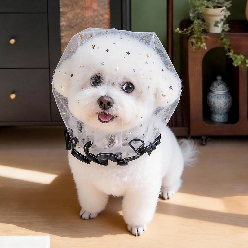 Topi Anjing Musim Panas Anti G - Pet Supplies York ulasan dan harga