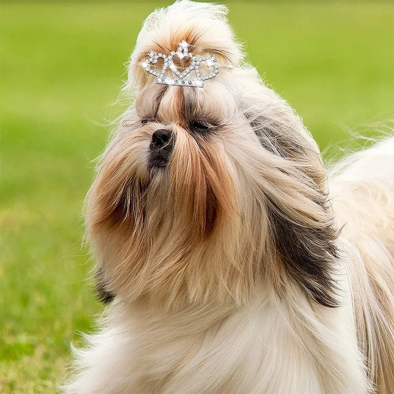 Jepit rambut anjing kristal Bl - Pet Supplies York ulasan dan harga