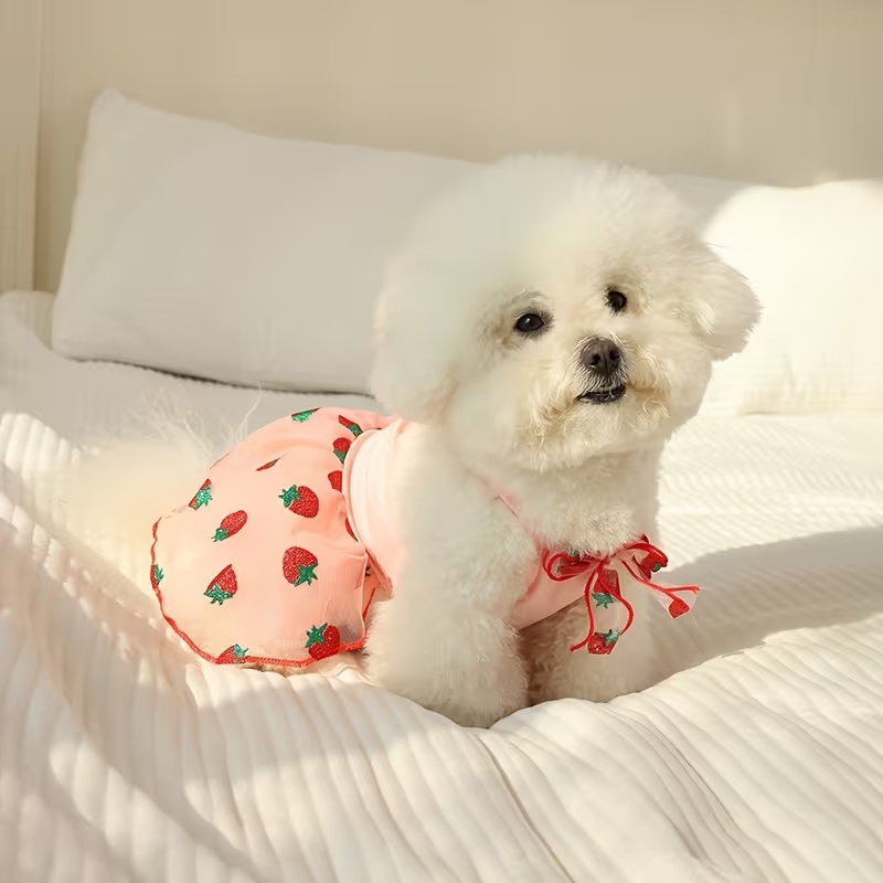 Gaun Anjing Tipis Musim Panas  - Pet Supplies York ulasan dan harga