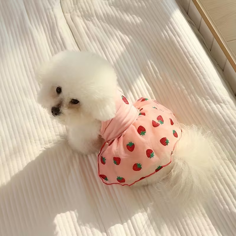 Gaun Anjing Tipis Musim Panas  - Pet Supplies York ulasan dan harga